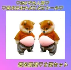 【新品未使用】おなか ぷにぷに シール 柴犬 ステッカー 　２匹セット