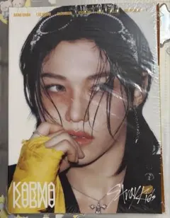 Stray Kids「KARMA」Accordionバージョン　Felix