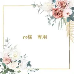 ▶︎◀︎m様専用ページ▶︎◀︎