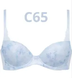 Wacoalワコール　ときはなつブラ Cool C65 タグ付き新品　ブルー