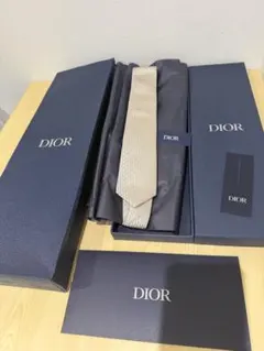 DIOR ディオール オブリーク柄 ネクタイ シャンパンゴールド【ベージュ】