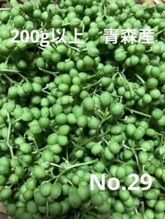 2026年最新】山椒の実 200gの人気アイテム - メルカリ