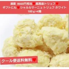 シャルルマーニュ トリュフ チョコレート 100g×4箱 チョコ 菓子 生チョコのサムネイル
