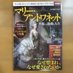 Brilliant Effects 洋書 宝石とジュエリーの文化史 - メルカリ