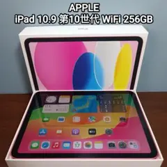 (美品) iPad 10.9 第10世代 WiFi 256GB