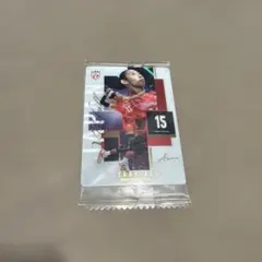 バレーボール女子日本代表 宮部愛芽世 トレーディングカード