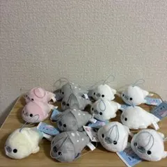 ハイキュー くるみたぴぬい 天童覚 12個セット ハイキュー くるみたぴぬい 天童覚 12個セット | Mercari