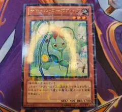 遊戯王 ナチュル・ローズウィップ 字レア DTC2-JP011 2枚セット - メルカリ