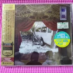 フォールアウトボーイ　フロムアンダーザコークツリー感涙決定盤　国内盤 CD