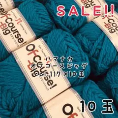 ★SALE★ハマナカ オフコースビッグcol.117×10玉セット