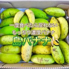 訳あり 沖縄県産 島バナナ 箱なし900g以上｜コンパクトBOX発送のサムネイル
