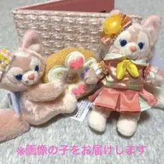 ディズニーシー ダッフィーアンドフレンズ リーナベル ぬいぐるみバッジ 2点