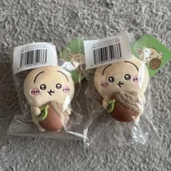 うさぎだらけくじ　どんぐりDJ