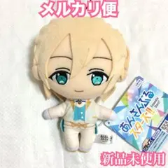 あんさんぶるスターズ　あんスタ　ぬいぐるみ　新衣装　fine　天祥院英智 ③