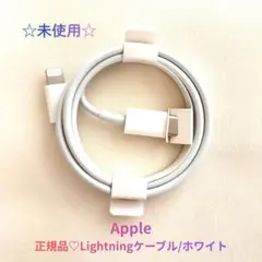 【未使用品】Apple Lightning ケーブル 正規品 純正品