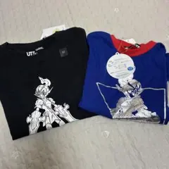 ポケモン ソウブレイズ　Tシャツ 110 120