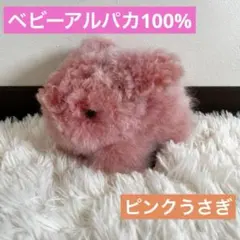 Item thumbnail for item 9ce3df5e-6f8d-446f-b25d-cfb50bf4cd57