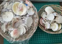 Item thumbnail for item e968a59b-1932-4b4d-8f2a-ee4c39ebbbf4