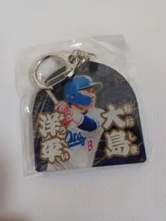 ヨコハマドラキチ様専用 ドアラ 大島洋平 竜陣祭 アクリルキーホルダー