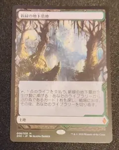 MTG 平地 日本語 チョコボトラック foil 藤ちょこ 20枚 - メルカリ