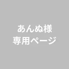 あんぬ様専用ページ