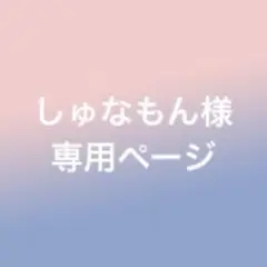しゅなもん(プロフ必読)様 リクエスト 2点 まとめ商品