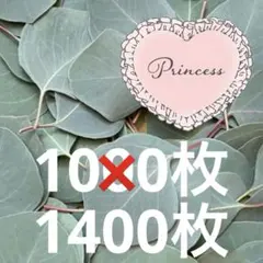 2026年最新】リーフシャワー ユーカリの人気アイテム - メルカリ