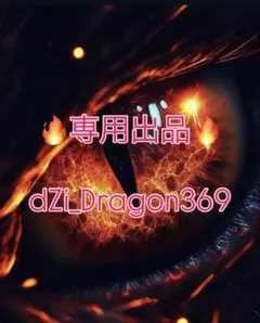 dZi beadsジービーズ 上肯 老礦手工藏伝仏龍眼梵字天珠のブレス - メルカリ