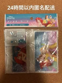ディズニープリンセス ファスナーケース S-Mサイズ 2枚入り