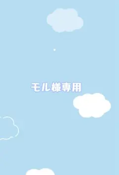 モル様専用