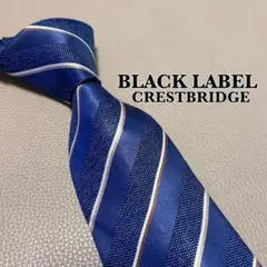 Item thumbnail for item 67fd8779-d491-4568-9bdb-67f68a9b23ab