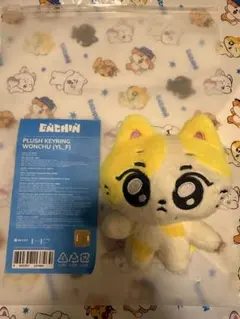 ENHYPEN ENCHIN WONCHU ウォンチュ ジョンウォン - メルカリ