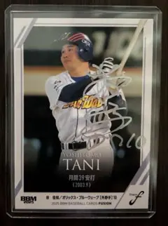 2026年最新】谷佳知の人気アイテム - メルカリ