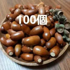 どんぐり