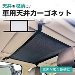 Item thumbnail for item 07f371b4-e2cc-47d4-9238-ad1950cc35ff