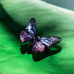 Item thumbnail for item a32c6838-c17e-4c0c-8fa9-17fe6309ca24