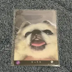 2026年最新】超特急 リョウガ ティアラの人気アイテム - メルカリ