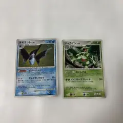 ポケモンカード ネオラント ジュカイン 2枚セット