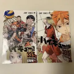 ハイキュー‼︎33.5 ゴミ捨て場の決戦　音駒番外編　2種セット