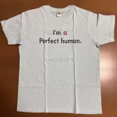 I'm a Perfect human Tシャツ L2枚セット
