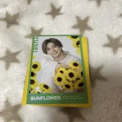 FANTASTICS 八木勇征 シクレ