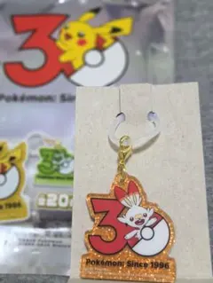 포켓몬 30周年 ポケチャーム ヒバニー 메지루시 액세서리