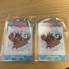 UMAbred DMMスクラッチ ドウデュース お守り風アクリルチャーム - メルカリ