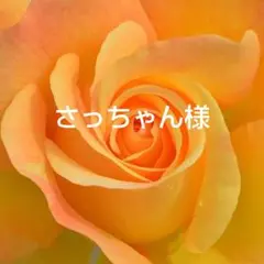 さっちゃん様 リクエスト 2点 まとめ商品