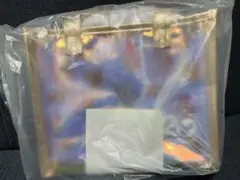 スタバアメリカ限定新発売ピクニックブランケット - メルカリ