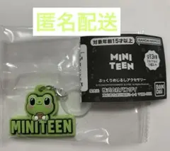 SEVENTEENセブチMINITEENミニティーン めじるしアクセサリー