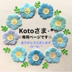 Koto様⋆*✩専用ページです(*ᴗ͈ˬᴗ͈)ꕤ*.゜