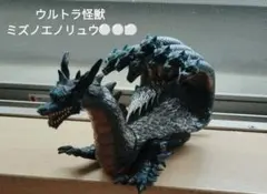 2025年最新】ミズノエノリュウの人気アイテム - メルカリ