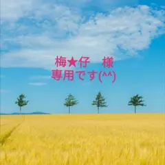 梅★仔　様　専用です