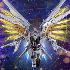 メタルロボット魂 ストライクフリーダムガンダム弐式 + プラウド